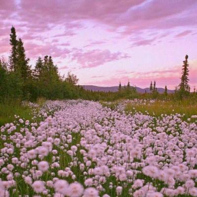 炸金花游戏下载手机版